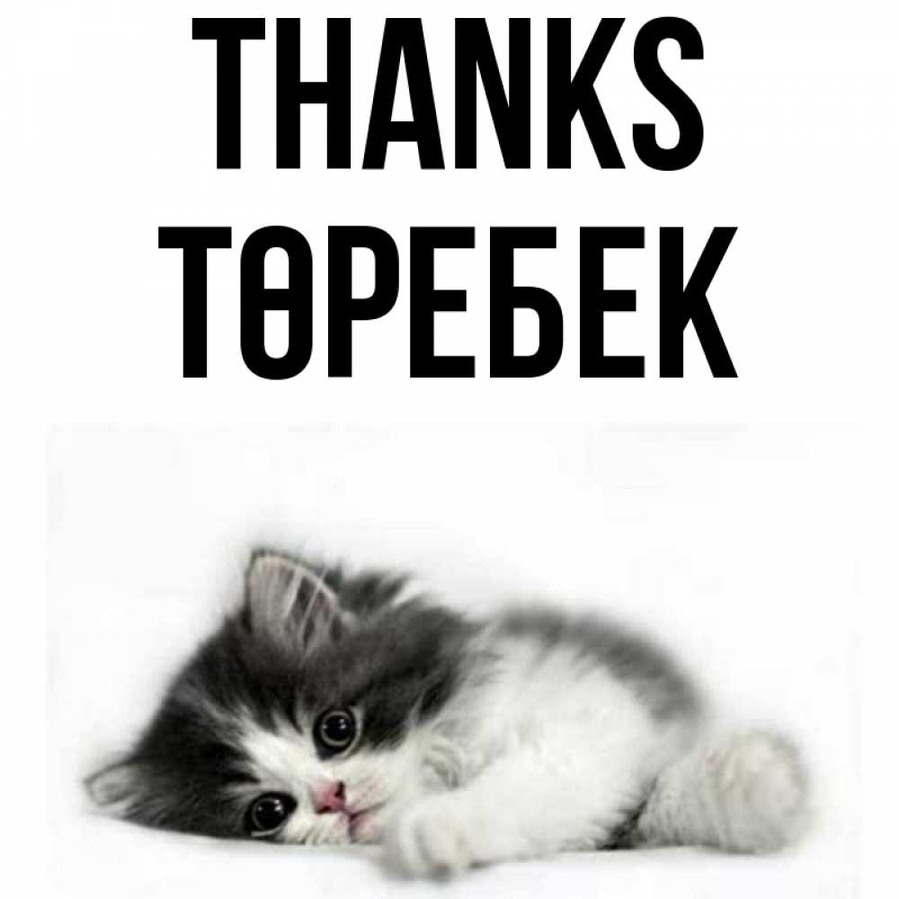 Greetings card с именем, ТӨРЕБЕК Thanks черный и белый кот Greetings with text for free download 