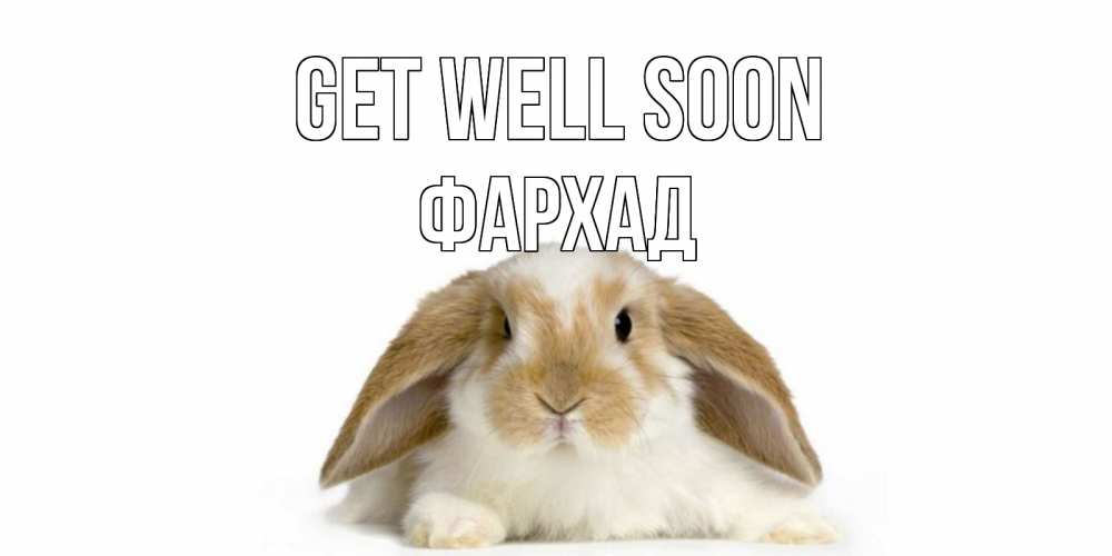 Greetings card с именем, Фархад Get well soon вислоухий кролик белого и коричневого цвета Greetings with text for free download 
