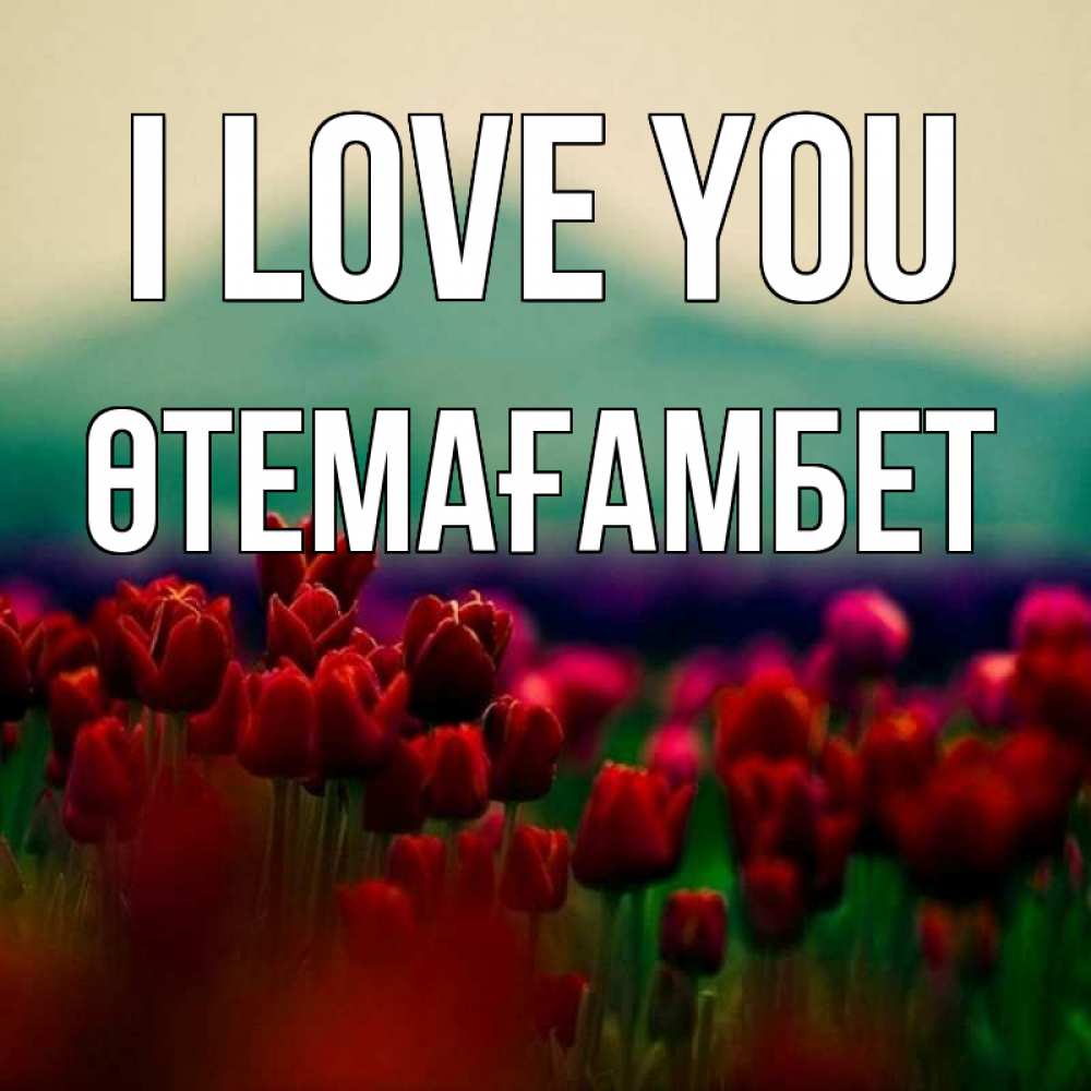 Greetings card с именем, ӨТЕМАҒАМБЕТ I love you тюльпаны 4 Greetings with text for free download 