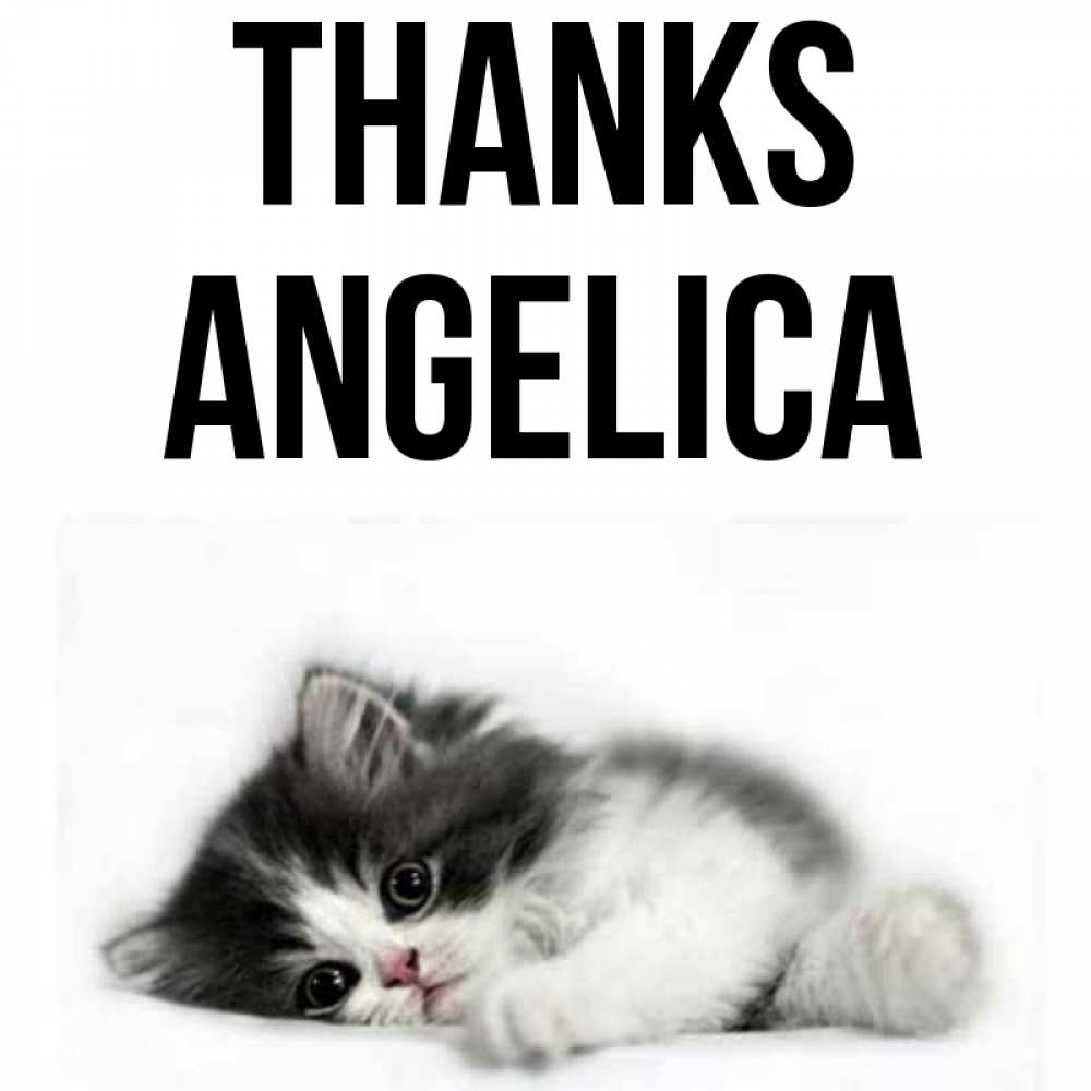 Greetings card с именем, Angelica Thanks черный и белый кот Greetings with text for free download 