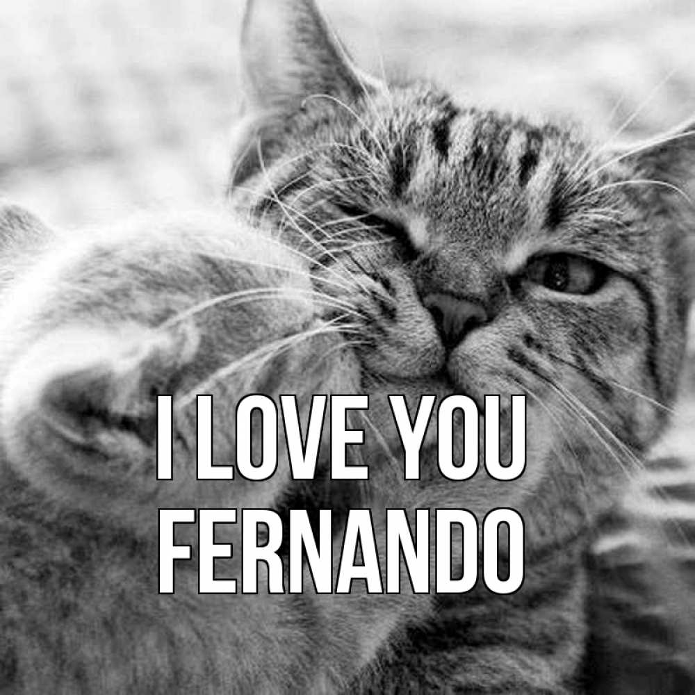 Greetings card с именем, Fernando I love you коты Greetings with text for free download 