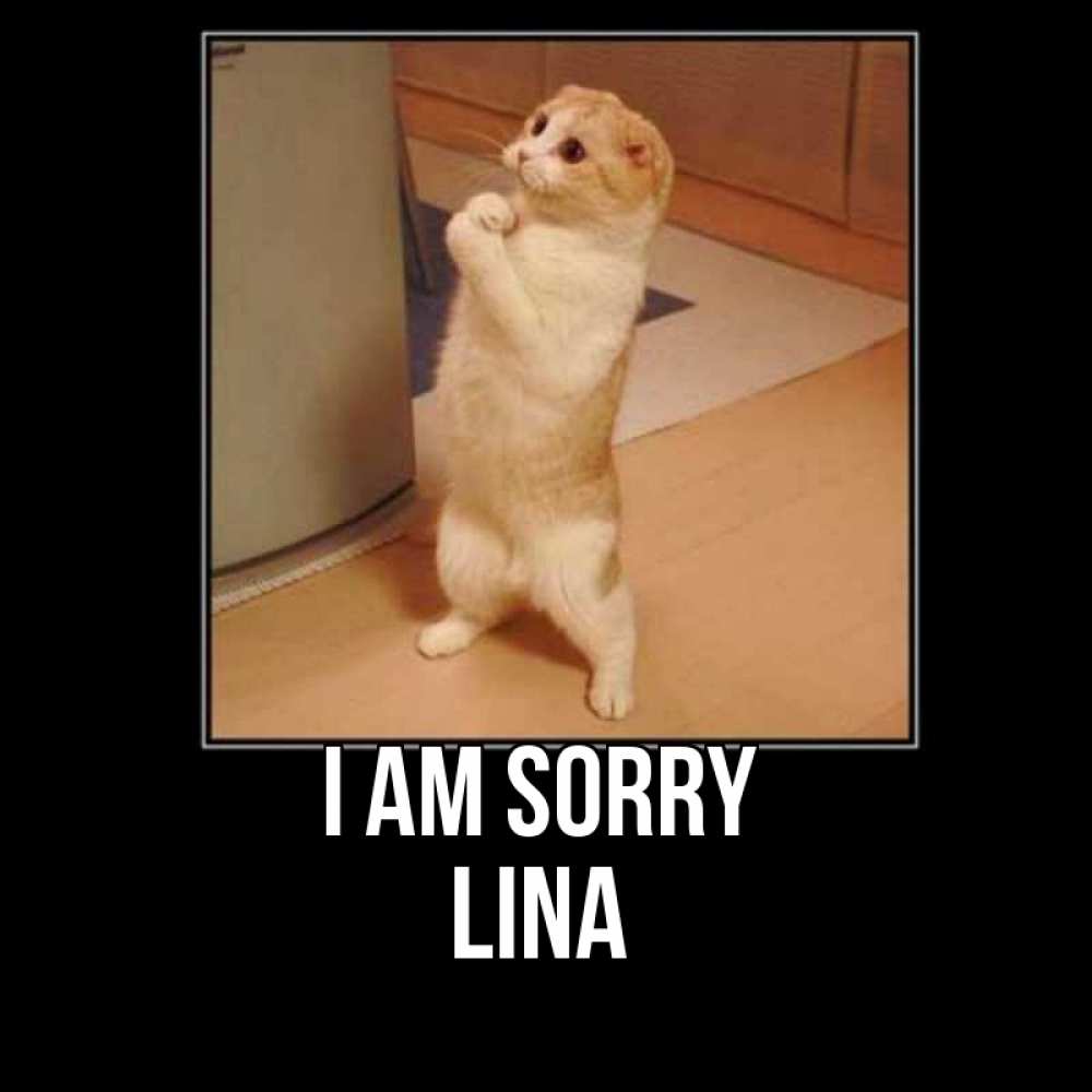 Greetings card с именем, Lina I am sorry открытка с милым несчастным котиком просящим прощения Greetings with text for free download 