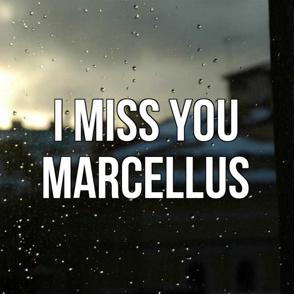Greetings card с именем, Marcellus I miss you капли на стекле Greetings with text for free download 