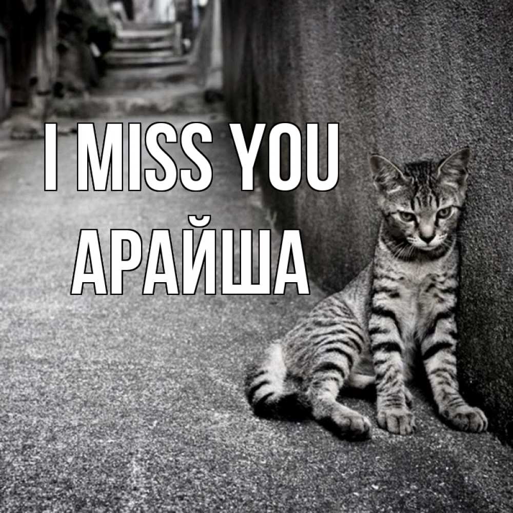 Greetings card с именем, АРАЙША I miss you одиноко котику Greetings with text for free download 