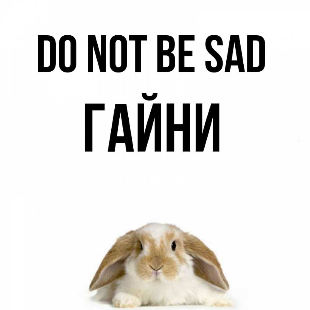 Greetings card с именем, ГАЙНИ Do not be sad коричнево белый заяц с большими ушками Greetings with text for free download 