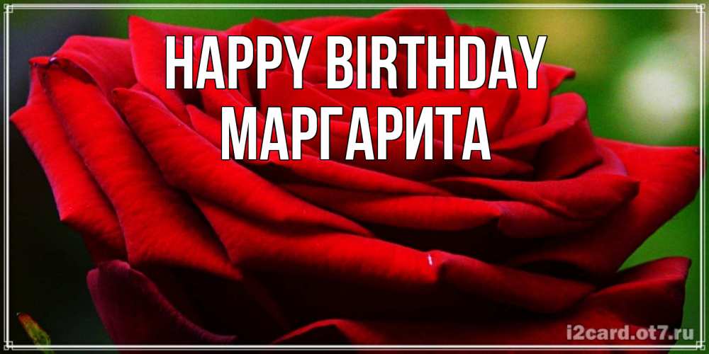 Greetings card с именем, Маргарита Happy Birthday розочка очень красивая Greetings with text for free download 