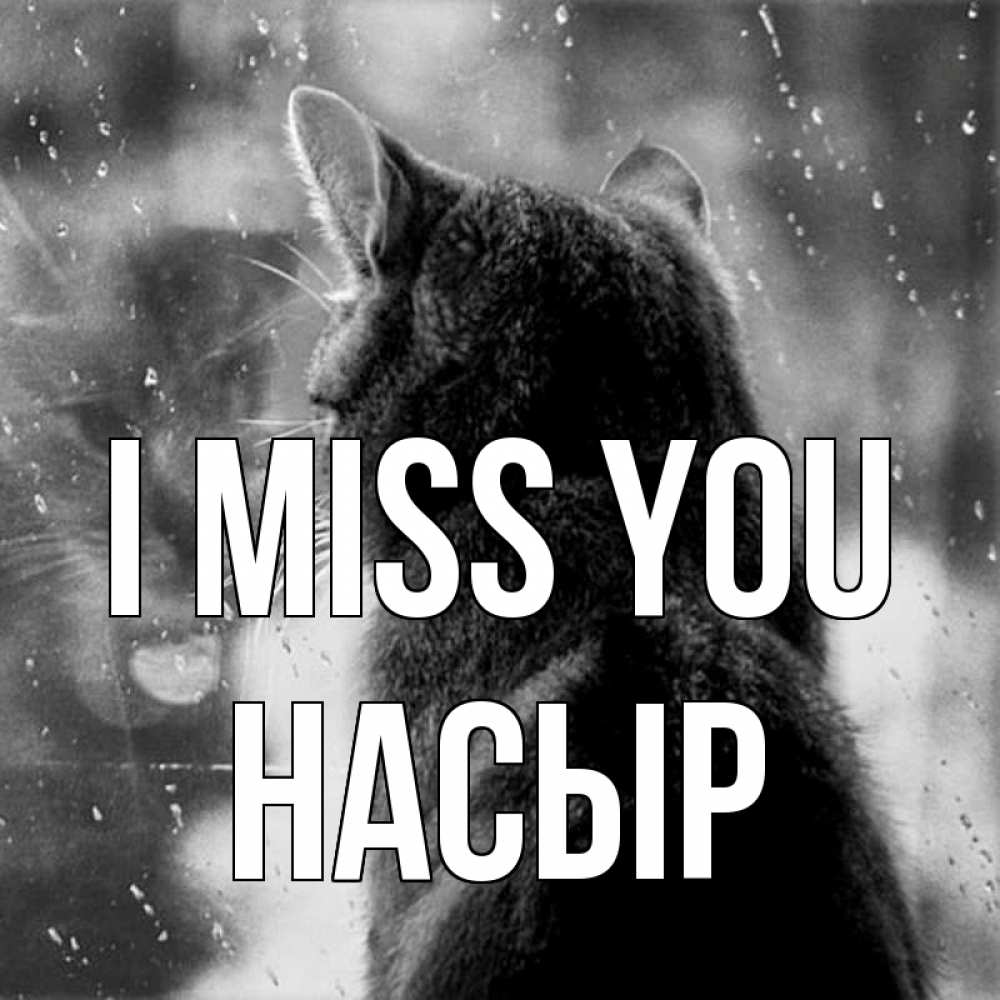 Greetings card с именем, НАСЫР I miss you скорее ко мне приходи 1 Greetings with text for free download 