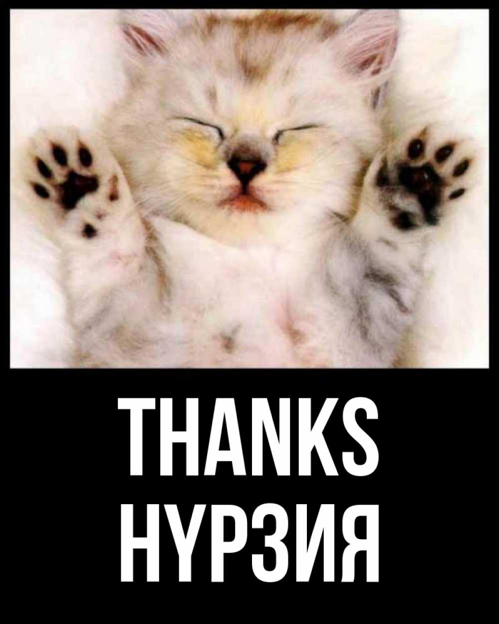 Greetings card с именем, НҮРЗИЯ Thanks маленький котенок Greetings with text for free download 