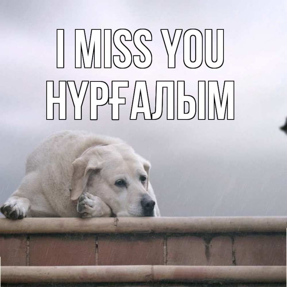 Greetings card с именем, НҮРҒАЛЫМ I miss you ждет Greetings with text for free download 