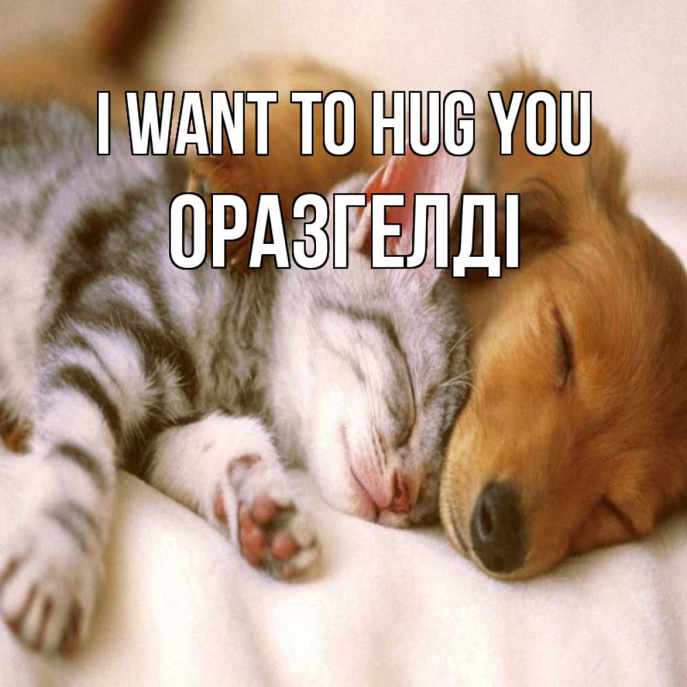 Greetings card с именем, ОРАЗГЕЛДІ I want to hug you пес и котенок Greetings with text for free download 