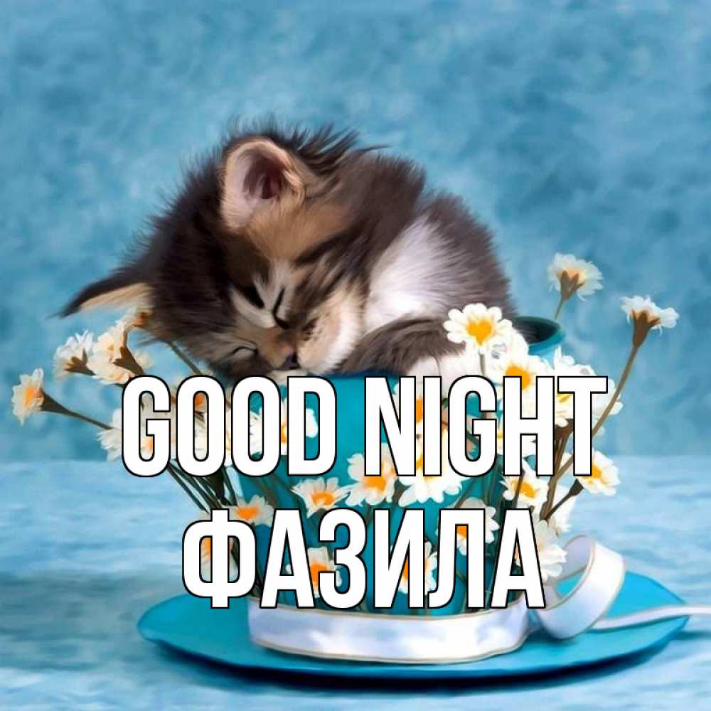 Greetings card с именем, ФАЗИЛА Good night котенок спит в кружке с блюдцем Greetings with text for free download 