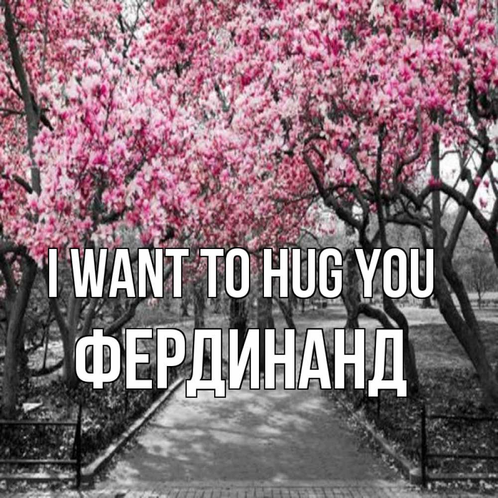 Greetings card с именем, Фердинанд I want to hug you обработанное фото Greetings with text for free download 