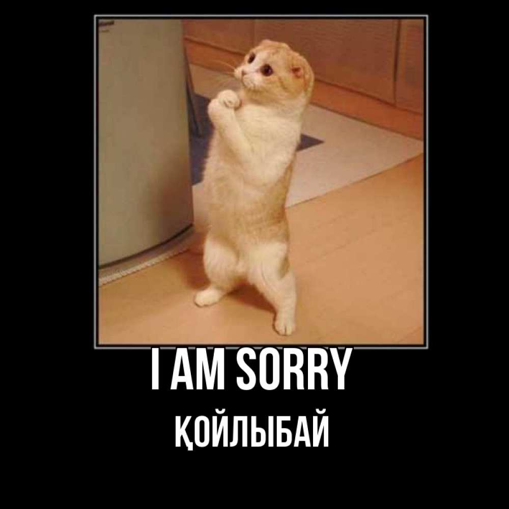Greetings card с именем, Қойлыбай I am sorry открытка с милым несчастным котиком просящим прощения Greetings with text for free download 