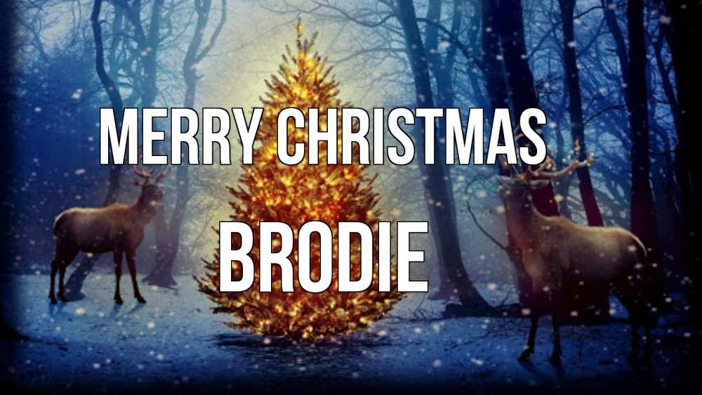 Greetings card с именем, Brodie Merry Christmas олени, новогодняя елка Greetings with text for free download 