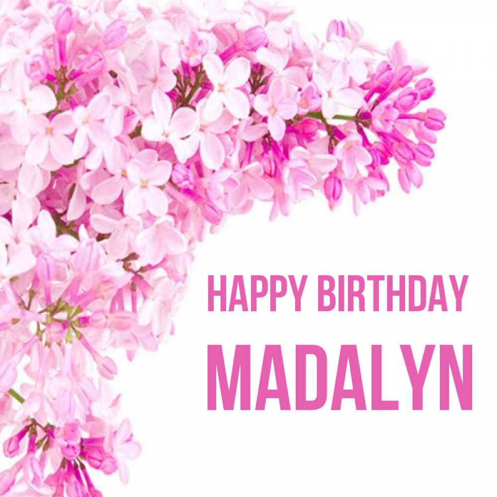 Greetings card с именем, Madalyn Happy Birthday Сирень на белом фоне Greetings with text for free download 