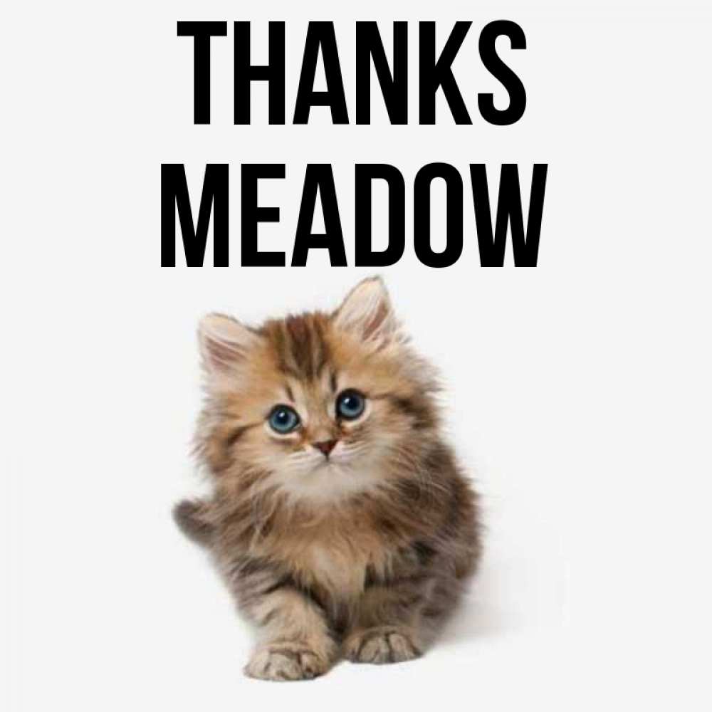 Greetings card с именем, Meadow Thanks пушистый котик Greetings with text for free download 