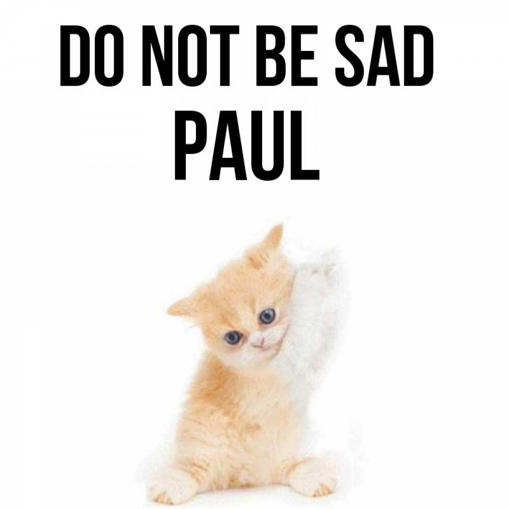 Greetings card с именем, Paul Do not be sad просящий кот Greetings with text for free download 