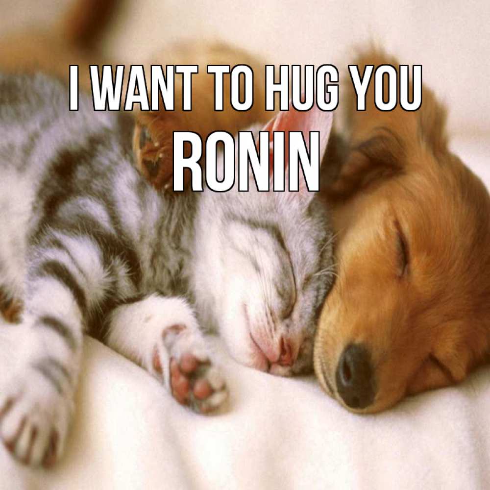 Greetings card с именем, Ronin I want to hug you пес и котенок Greetings with text for free download 