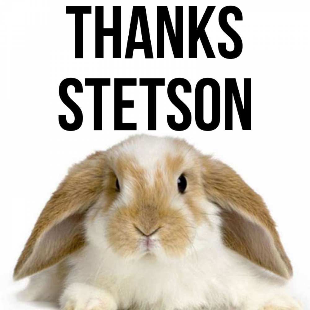 Greetings card с именем, Stetson Thanks коричнево белый заяц Greetings with text for free download 