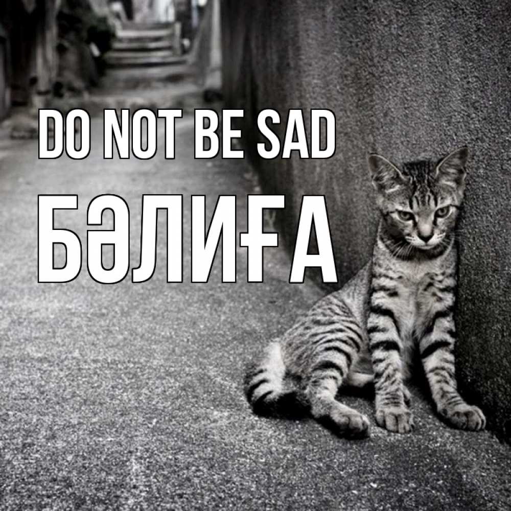 Greetings card с именем, БӘЛИҒА Do not be sad скучающий котик Greetings with text for free download 