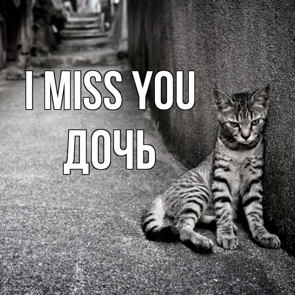 Greetings card с именем, Дочь I miss you одиноко котику Greetings with text for free download 