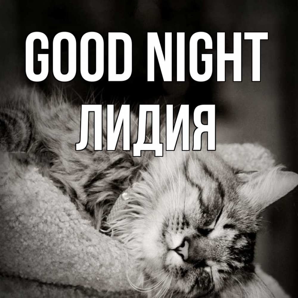 Greetings card с именем, Лидия Good night котярик пушистый Greetings with text for free download 