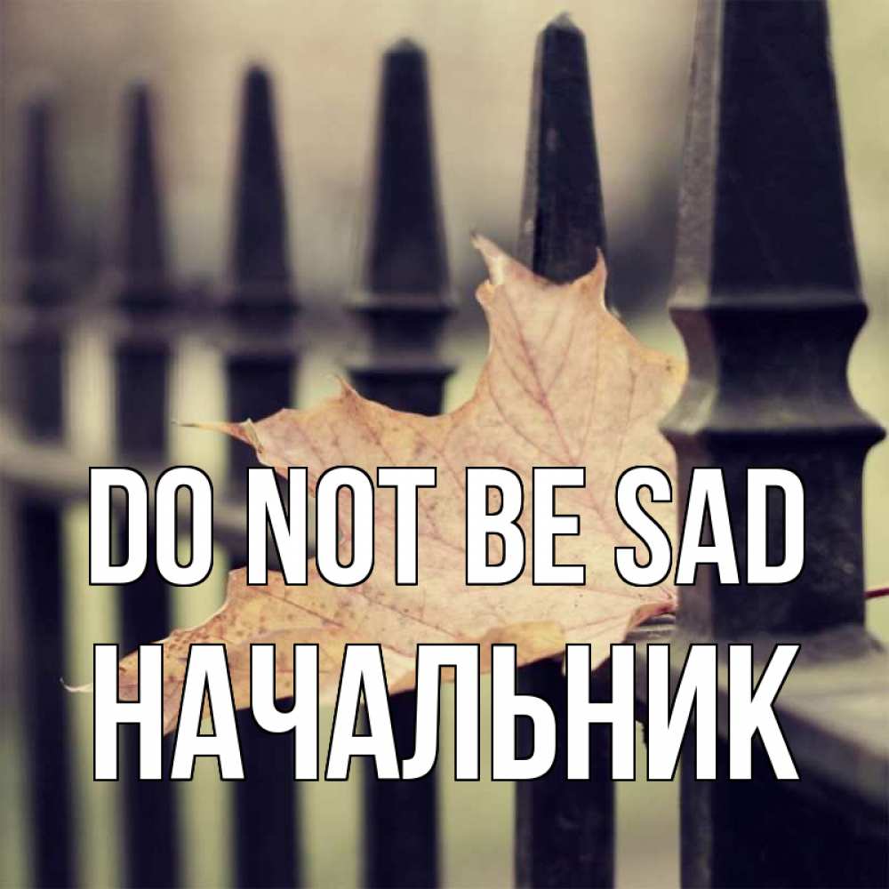 Greetings card с именем, Начальник Do not be sad лист клена Greetings with text for free download 