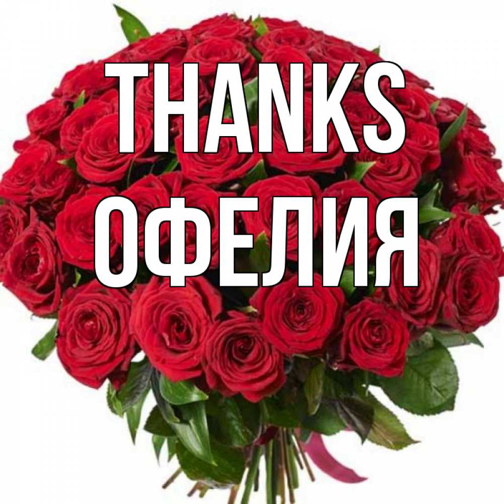 Greetings card с именем, Офелия Thanks букет красных роз Greetings with text for free download 