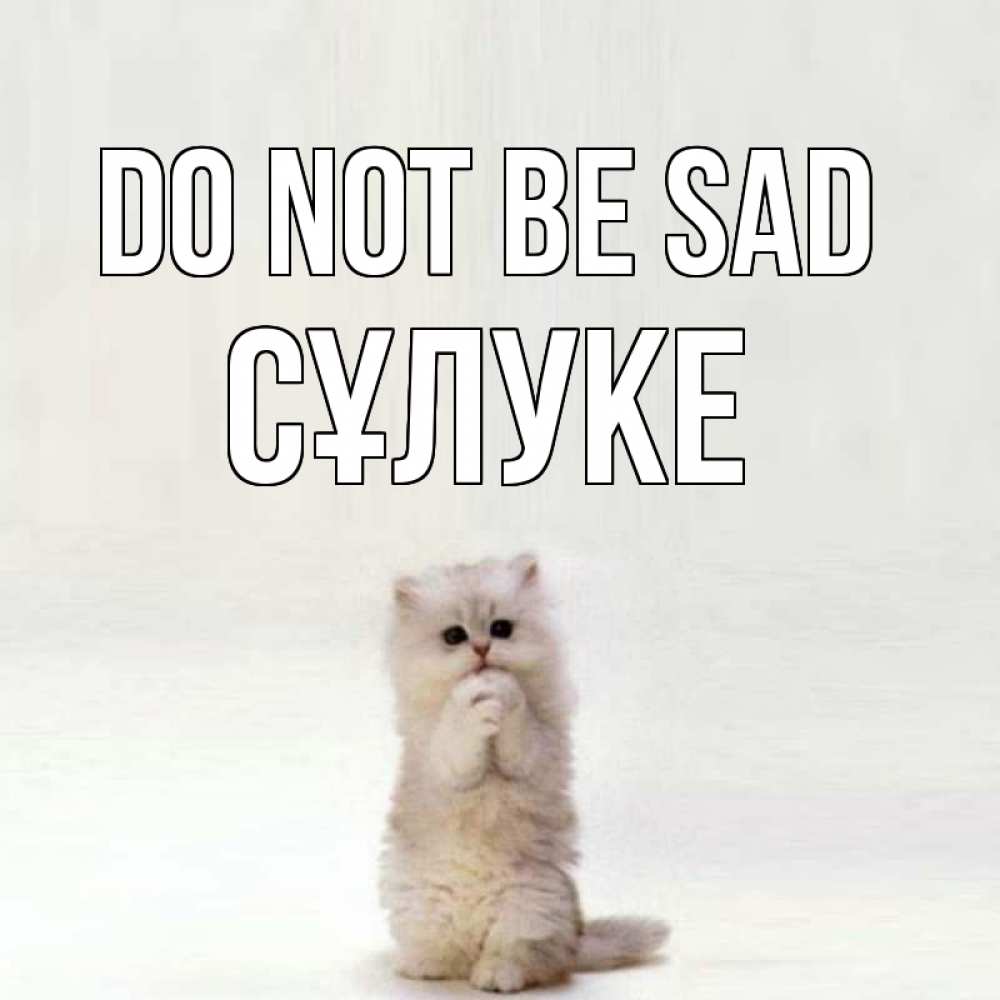 Greetings card с именем, СҰЛУКЕ Do not be sad грустный кот Greetings with text for free download 