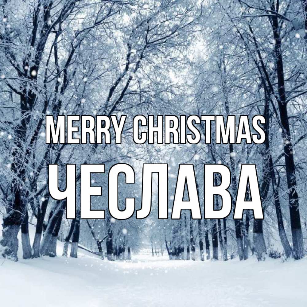 Greetings card с именем, Чеслава Merry Christmas снег, лес, парк Greetings with text for free download 