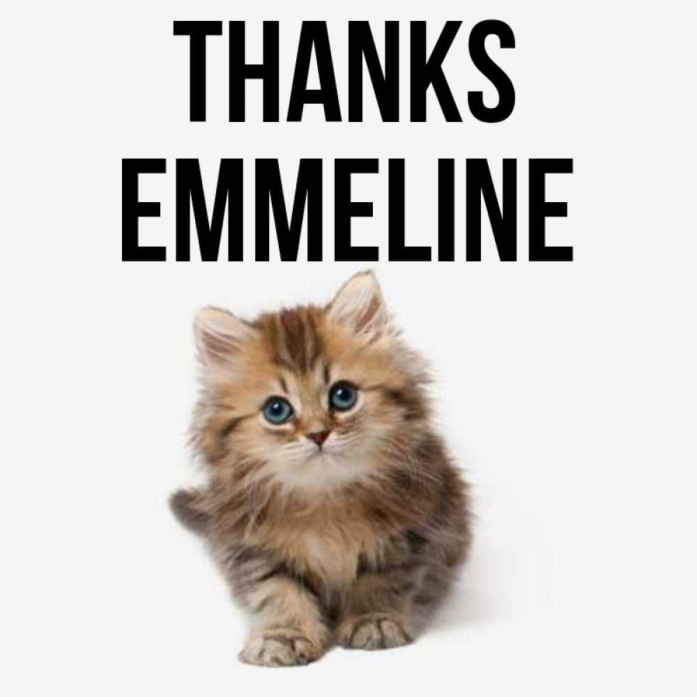 Greetings card с именем, Emmeline Thanks пушистый котик Greetings with text for free download 