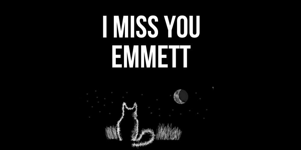 Greetings card с именем, Emmett I miss you кот Greetings with text for free download 
