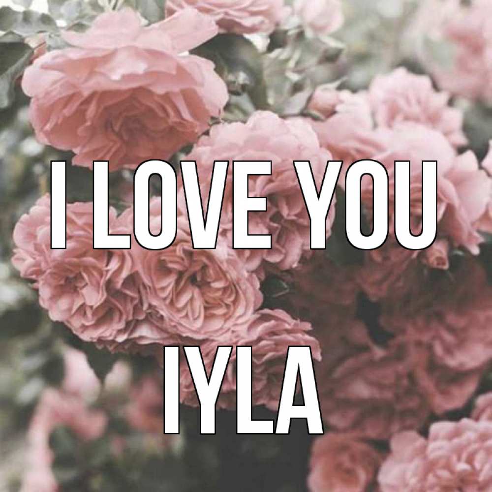 Greetings card с именем, Iyla I love you розы 3 Greetings with text for free download 