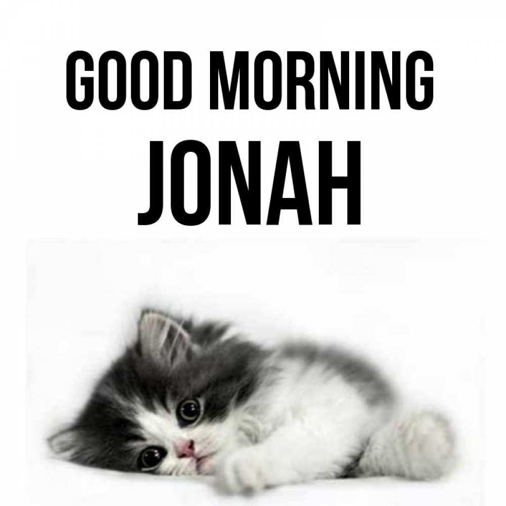 Greetings card с именем, Jonah Good morning кот лапки Greetings with text for free download 