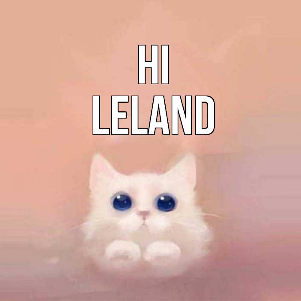 Greetings card с именем, Leland Hi котик белый в полете Greetings with text for free download 