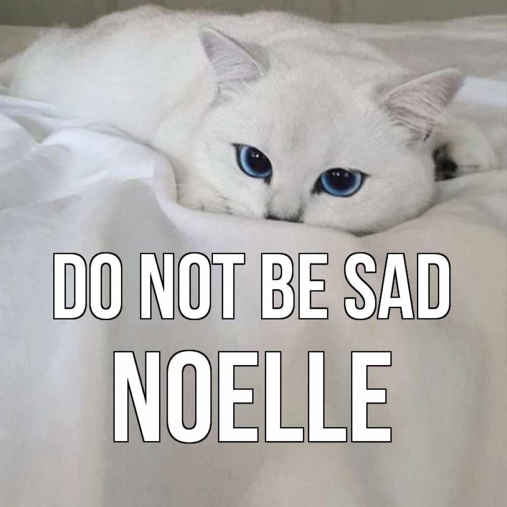 Greetings card с именем, Noelle Do not be sad белый кот с голубыми глазами на белоснежной кровати Greetings with text for free download 