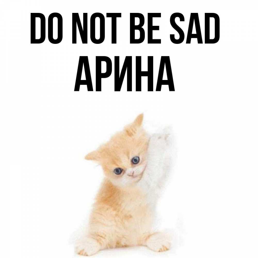 Greetings card с именем, Арина Do not be sad просящий кот Greetings with text for free download 