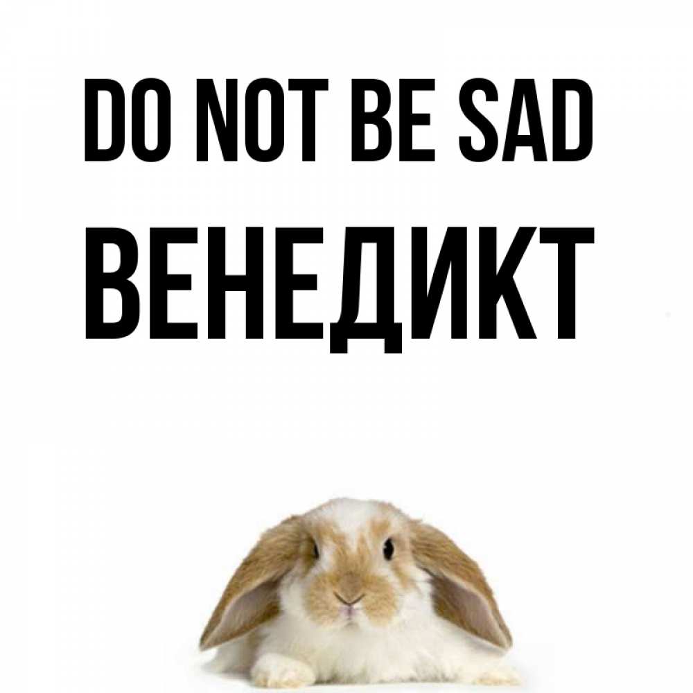 Greetings card с именем, Венедикт Do not be sad коричнево белый заяц с большими ушками Greetings with text for free download 