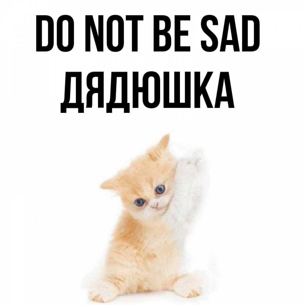 Greetings card с именем, Дядюшка Do not be sad просящий кот Greetings with text for free download 