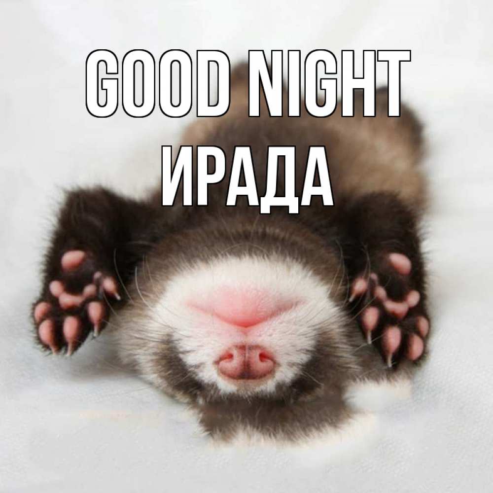 Greetings card с именем, ИРАДА Good night зверек Greetings with text for free download 
