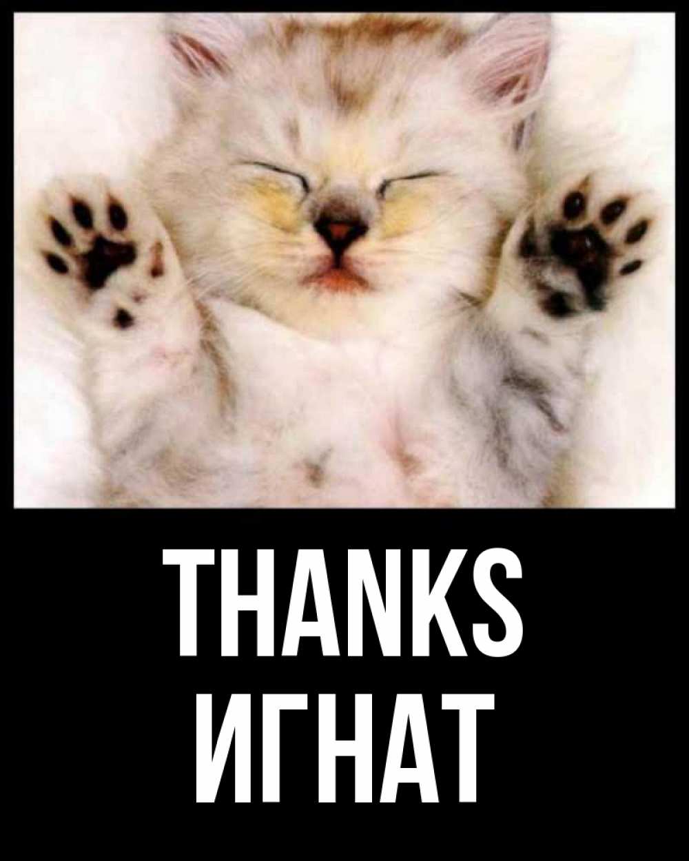 Greetings card с именем, Игнат Thanks маленький котенок Greetings with text for free download 
