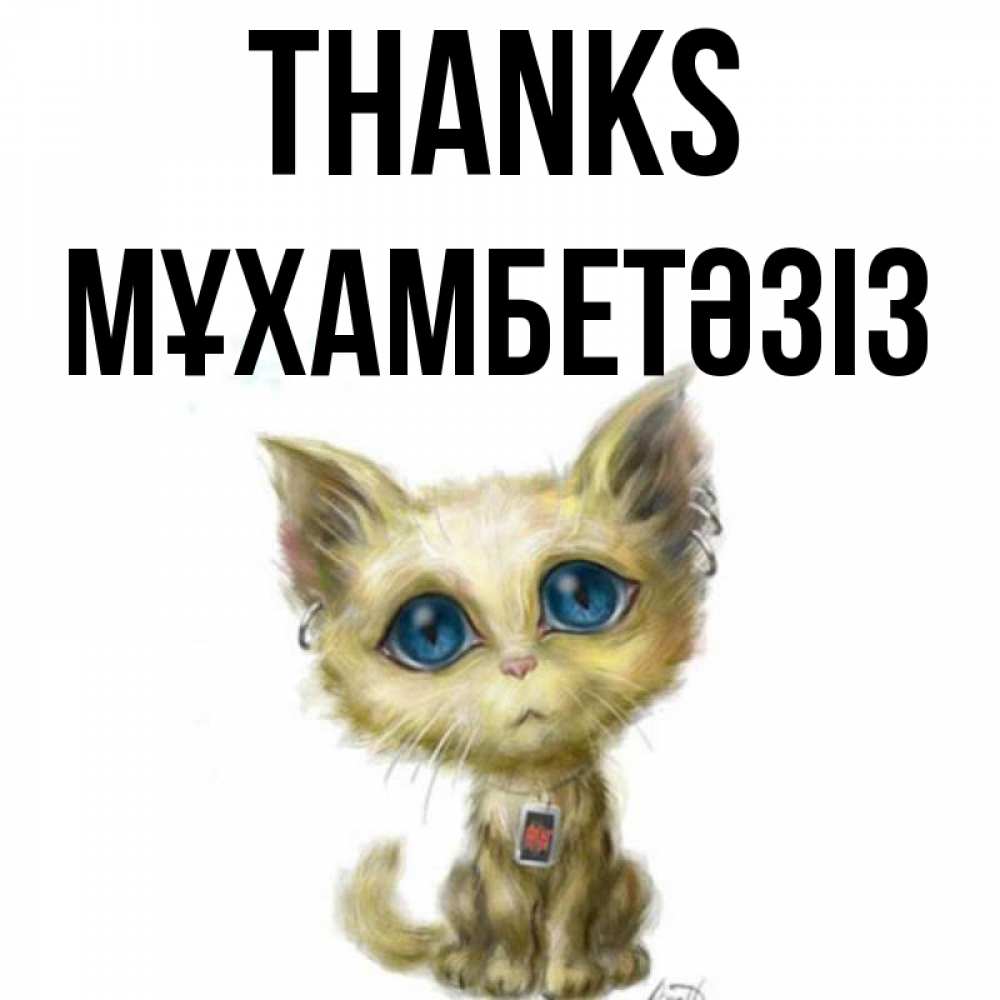 Greetings card с именем, МҰХАМБЕТӘЗІЗ Thanks рисованный кот благодарит вас Greetings with text for free download 