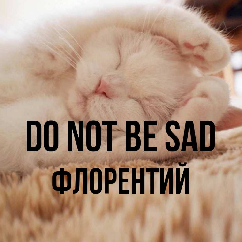 Greetings card с именем, Флорентий Do not be sad Котенок спит Greetings with text for free download 