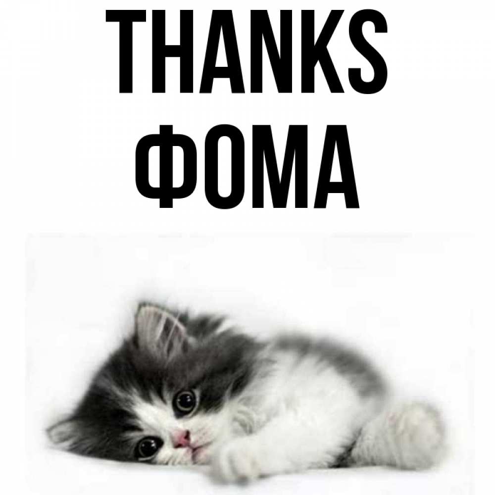 Greetings card с именем, Фома Thanks черный и белый кот Greetings with text for free download 