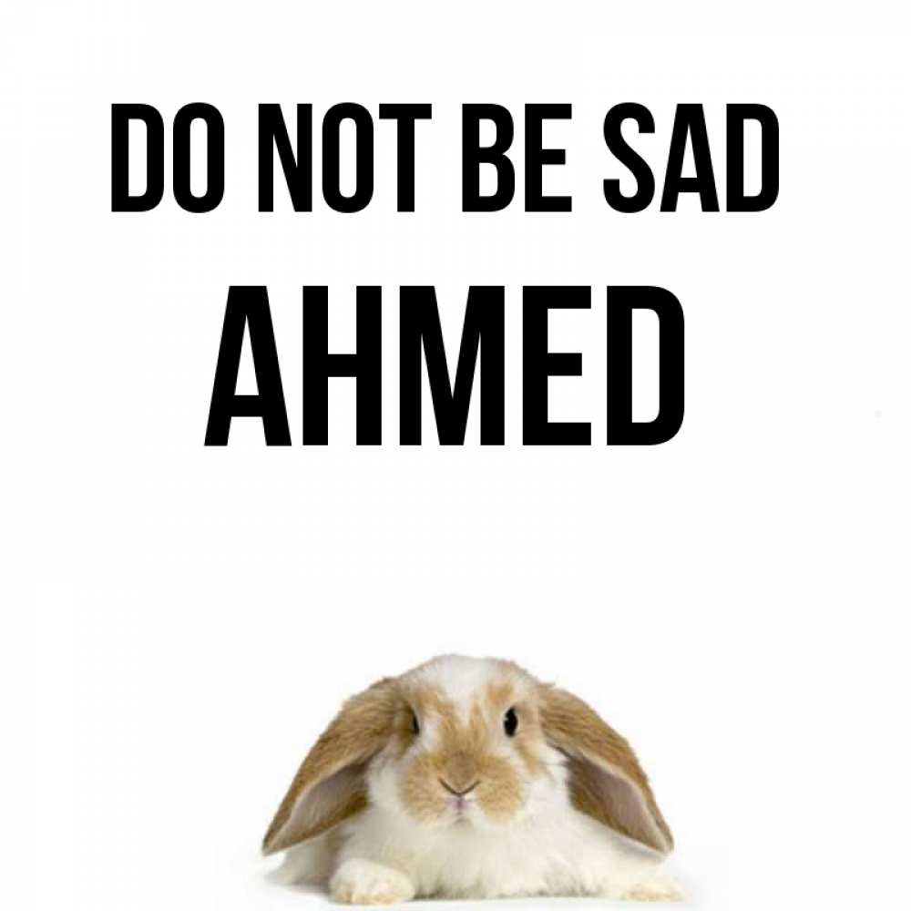 Greetings card с именем, Ahmed Do not be sad коричнево белый заяц с большими ушками Greetings with text for free download 