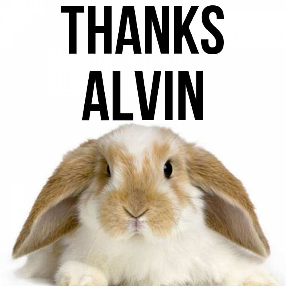 Greetings card с именем, Alvin Thanks коричнево белый заяц Greetings with text for free download 