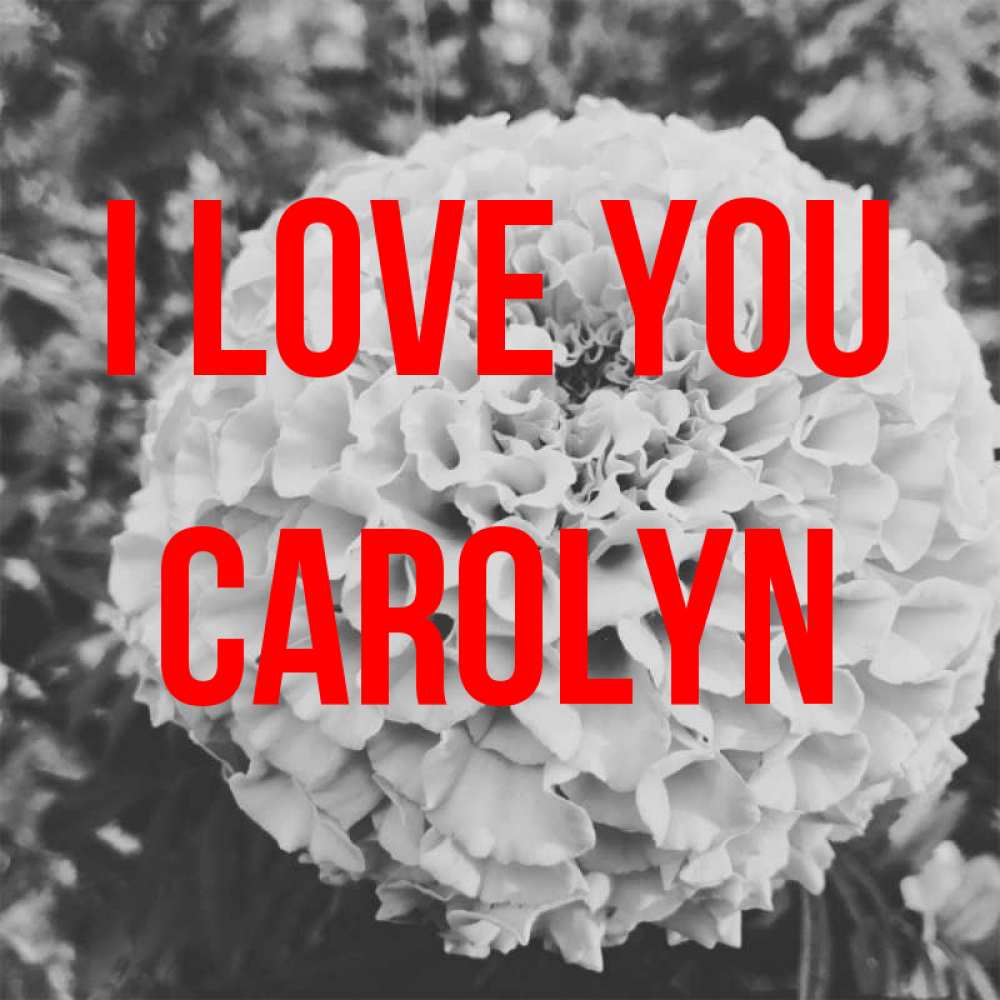 Greetings card с именем, Carolyn I love you подпись Greetings with text for free download 