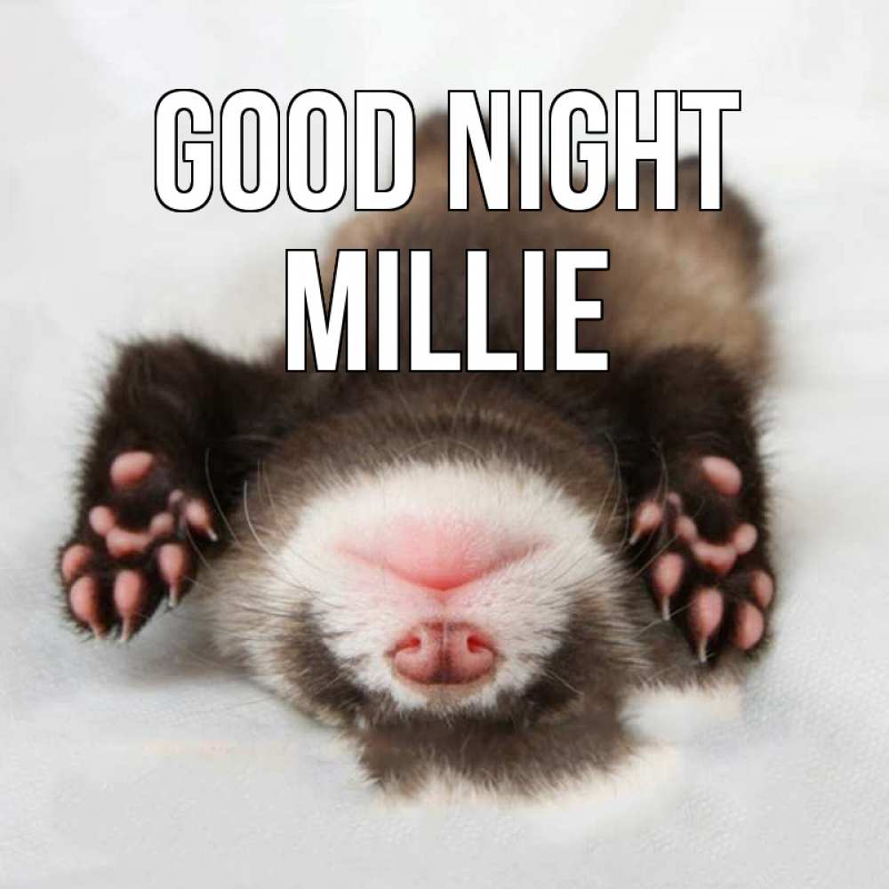 Greetings card с именем, Millie Good night зверек Greetings with text for free download 