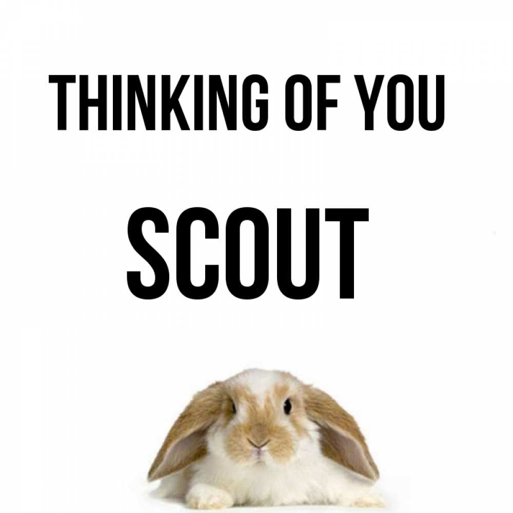 Greetings card с именем, Scout Thinking of you подписать своими руками онлайн Greetings with text for free download 
