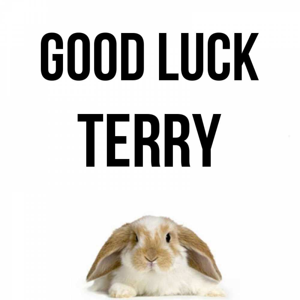 Greetings card с именем, Terry Good luck открытки с произвольным текстом который можно вставить в открытку и создать ее самостоятельно бесплатно онлайн Greetings with text for free download 
